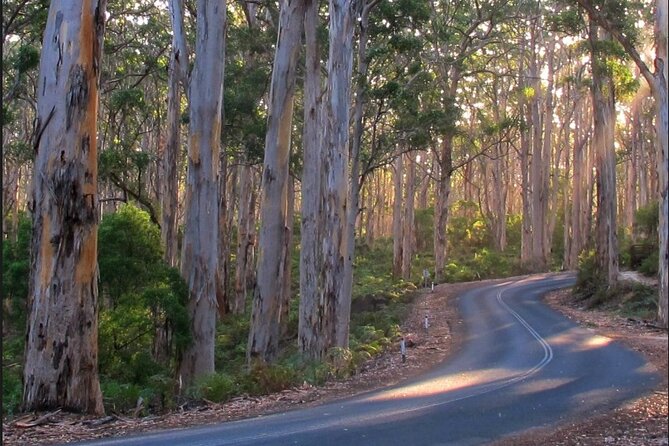 1 Day Margaret River Sightseeing Tour from Perth - Why this Margaret River day trip works from Perth