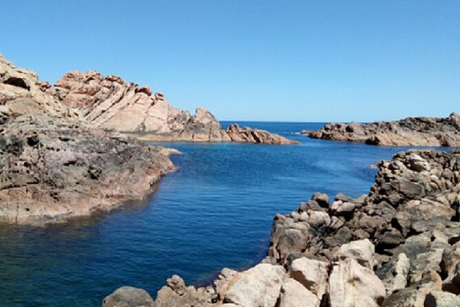 1 Day Margaret River Sightseeing Tour from Perth - Cape Lavender Tea House: lavender ice cream and a photo pause