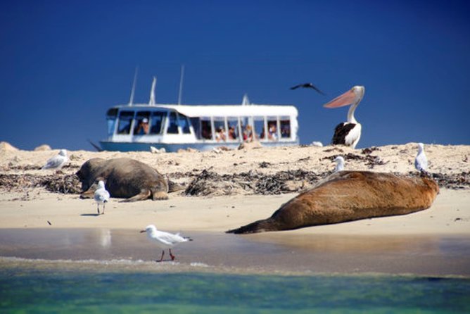 1 Day Margaret River Sightseeing Tour from Perth - Ngilgi Cave Ancient Lands Experience: the optional stop and the stairs reality