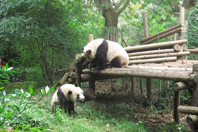 16-Day Private China Essence Tour with Yangtze River Cruise - Key highlights to know before you go