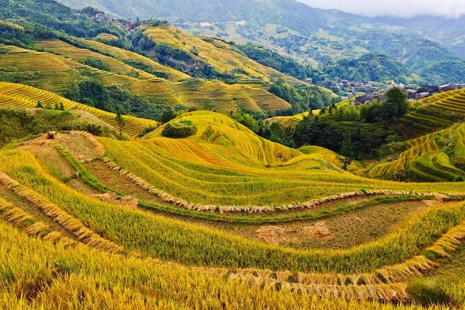 2 Day Guilin Highlights Li River Cruise and Longji Terraces Tour - Should You Book This 2-Day Guilin Highlights Tour?