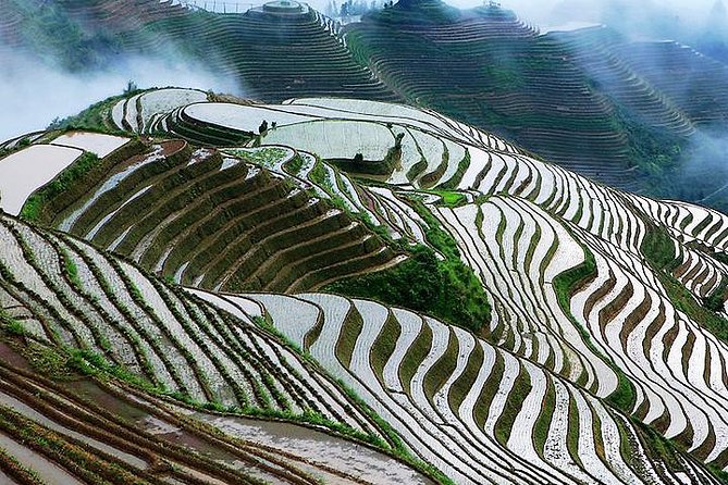 2-Day Private Tour: Classic Li River Cruise and Longji Terrace Tour - Day 2: Guilin to Yangshuo by Li River Cruise