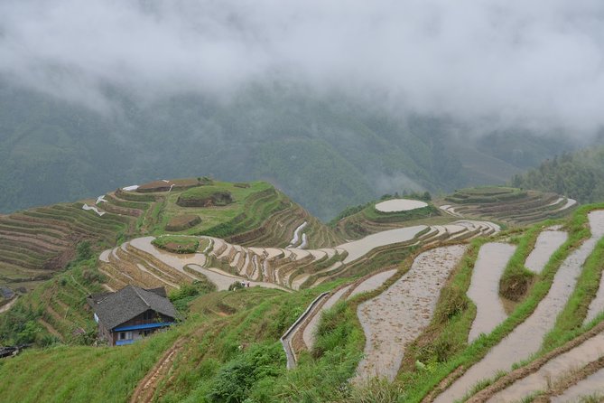 2-Day Private Tour: Classic Li River Cruise and Longji Terrace Tour - Yangshuo Free Time: West Street and bicycle countryside time