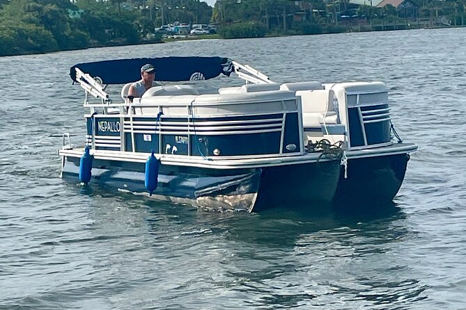 2 Hr Dolphin Melbourne, Merritt Island ,Cocoa Beach.1030 am - Key Highlights Worth Booking