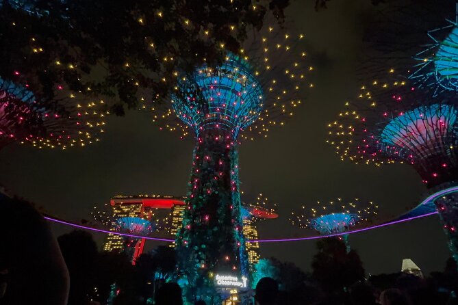 2 Pax Bundle Singapore River Cruise and Stunning Light Shows - Who this tour suits best (and who might skip it)
