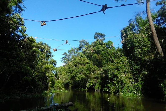 2D1N Sandakan Private Tour with Kinabatangan River Cruise - From Sandakan airport to Sepilok in one smooth morning