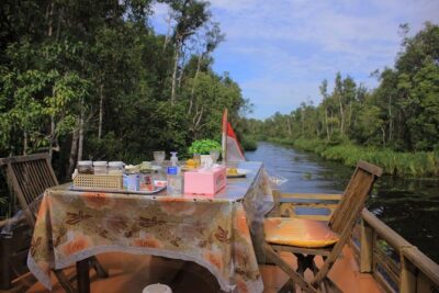 2Ns Orangutan Kelotok Tour in Tanjung Puting Kalimantan - Borneo - Day 1: Tanjung Harapan and the “rehab first” perspective