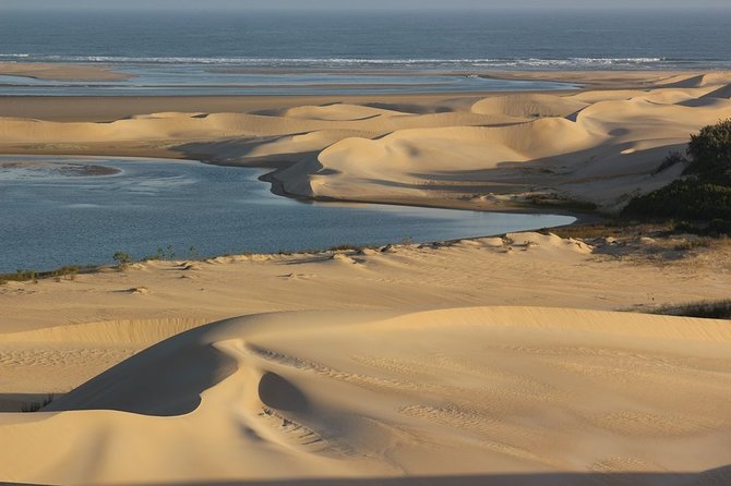 Addo Elephant National Park and Sunset River Cruise - FD04 - Sundays River sunset cruise: the calmer wildlife side