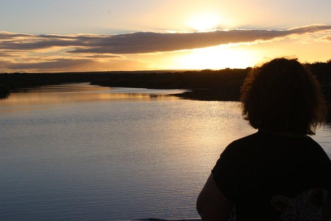 Addo Elephant National Park and Sunset River Cruise - FD04 - How the Addo game drive feels (and what you’re paying for)
