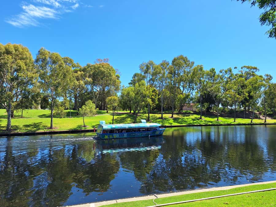 Adelaide: Walking Tour and Popeye River Cruise - Adelaide Arcade and the State Library: where stories get deeper without getting heavy