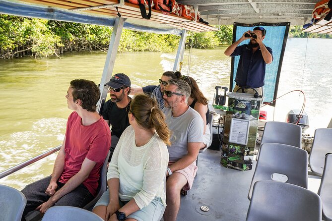 Afternoon Daintree Tour with River Cruise from Port Douglas - The Rainforest Swim: Optional, Refreshing, and Actually Memorable