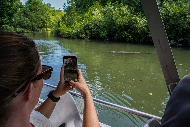 Afternoon Daintree Tour with River Cruise from Port Douglas - What Makes the Included Stuff Feel Like Value (Not Just Extras)