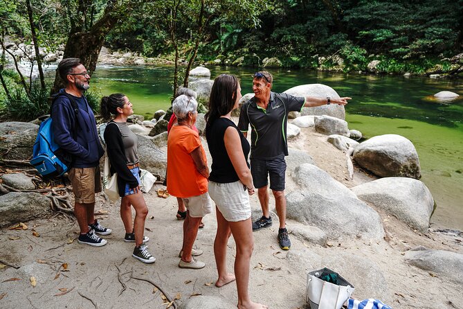 Afternoon Daintree Tour with River Cruise from Port Douglas - Daintree River Cruise: Crocs, Birds, and a Boat Ride That Feels Worth It
