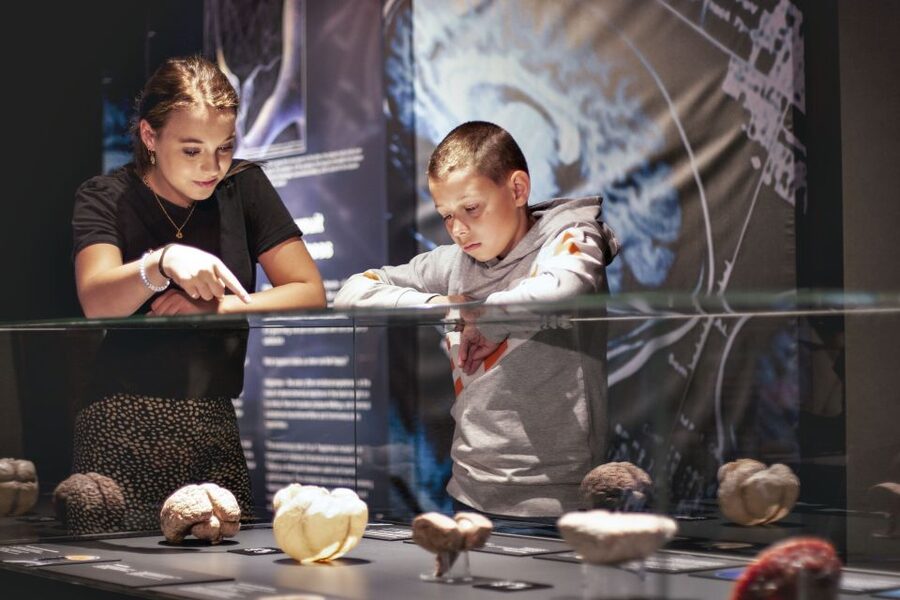 Amsterdam: Body Worlds Exhibition and Canal Cruise - Who should book this and who should skip it