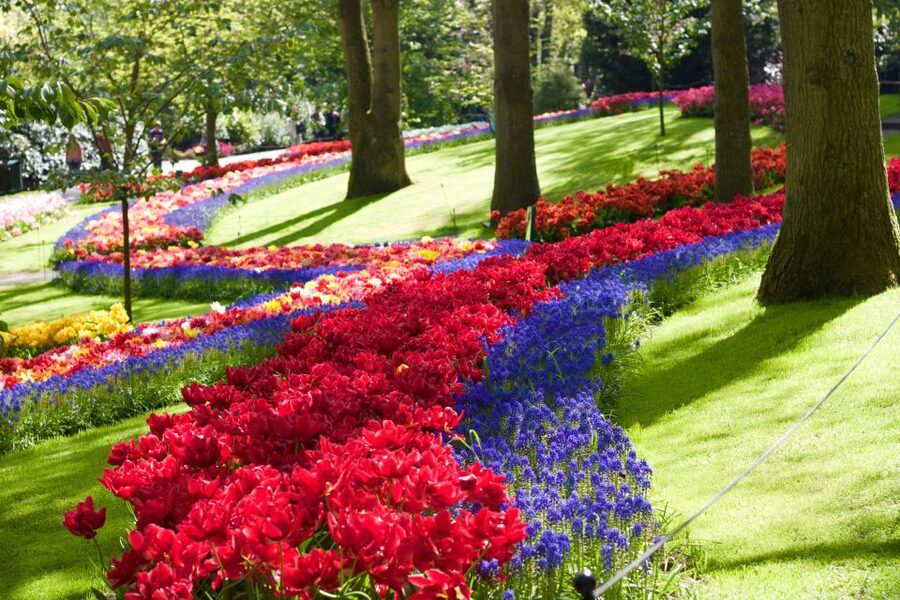 Amsterdam: Keukenhof Ticket with Shuttle Bus + Canal Cruise - Value for $64: What You’re Getting (That Adds Up)