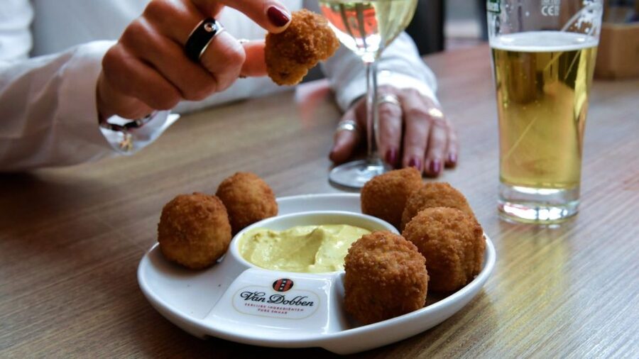 Amsterdam: Private Canal Cruise with Drinks and Snacks - Drinks and snacks: what’s included, and where expectations need clarity