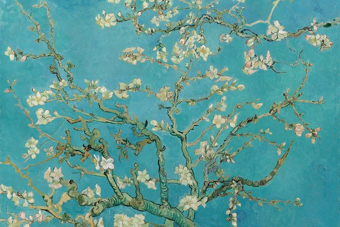 Amsterdam: Van Gogh Museum Entry & 75 minute City Canal Cruise - Audio narration and onboard comfort: where it shines and where it can miss