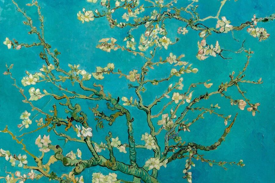 Amsterdam: Van Gogh Museum Ticket and City Canal Cruise - Van Gogh Museum Timeslot: How the Fixed Entry Shapes Your Day