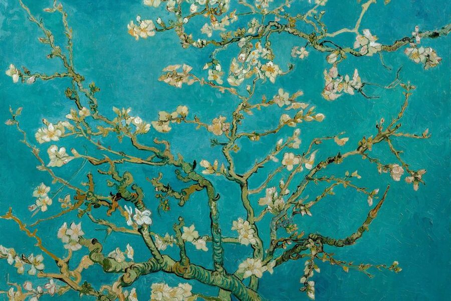 Amsterdam: Van Gogh Museum Ticket & Canal Cruise - Should You Book This Van Gogh Museum and Canal Cruise Combo?