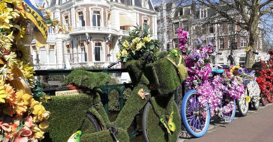 Amsterdam Walking Tour and Canal Cruise - From street to water: the glass-roof 60-minute canal cruise