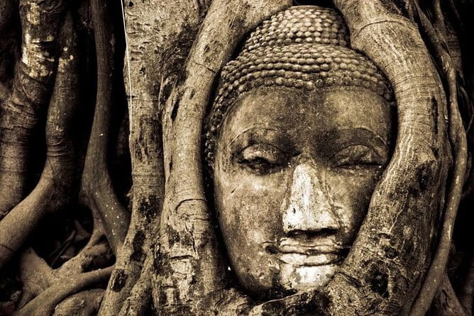 Ancient City & Temples of Ayutthaya ( UNESCO ) by River Cruise with Buffet Lunch - Wat Mahathat: Buddha faces in tree roots