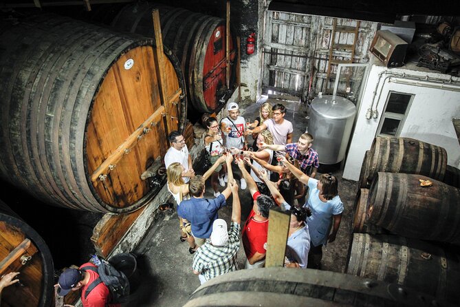 Authentic Small Group Douro Wine Tour with Lunch & River Cruise - Quinta do Tedo Tasting: Learning How Wine Actually Gets Made