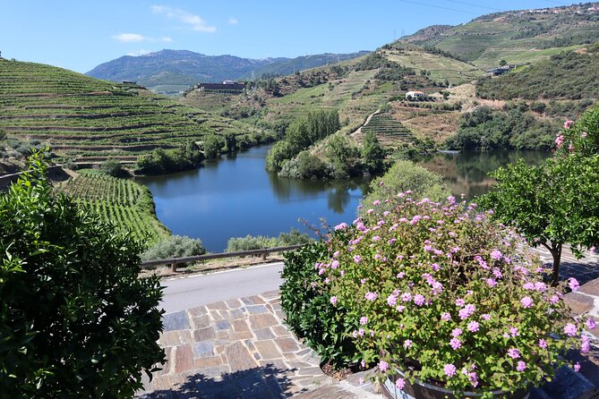 Authentic Small Group Douro Wine Tour with Lunch & River Cruise - Pinhão Lunch and the Rabelo River Cruise: The Douro Slows Down Here