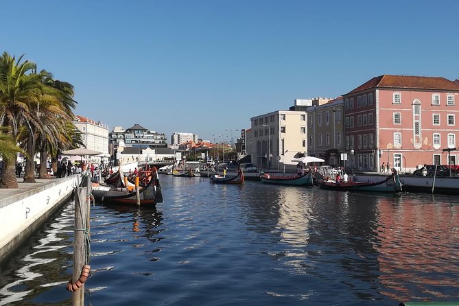 Aveiro and Coimbra Small Group Tour with Moliceiro Boat Cruise - Manga Garden/Clauster and the church: small stops that add texture