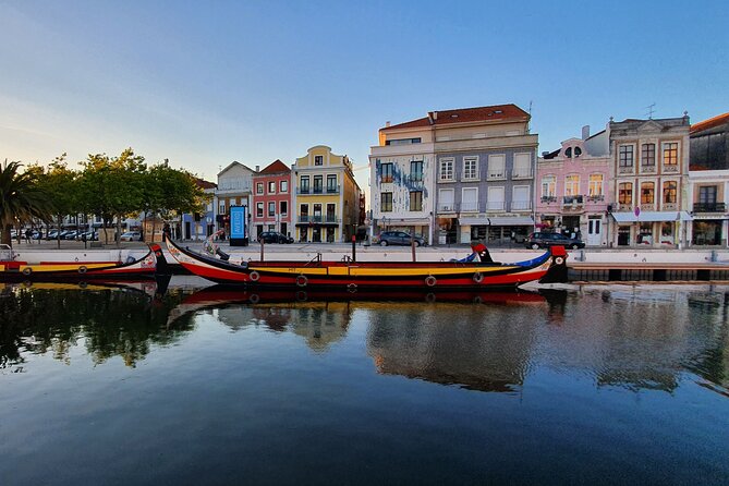 Aveiro Canal Cruise in Traditional Moliceiro Boat - Who Should Book This Cruise (and Who Might Reconsider)