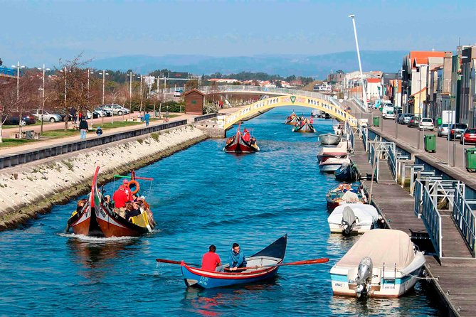 Aveiro Canal Cruise in Traditional Moliceiro Boat - The Cruise Route: Canals in Town and Views Toward the Salt Pans