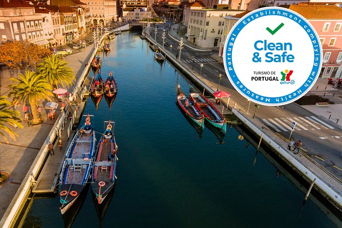 Aveiro Half Day Private Tour Porto w/ Moliceiro River Cruise - Key Highlights You’ll Really Feel