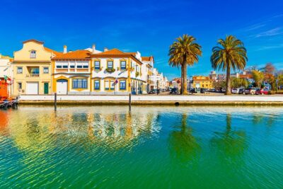 Aveiro Half Day Private Tour Porto w/ Moliceiro River Cruise - Aveiro on Foot: Art Nouveau Museum and the Fish Market in a Smart Burst