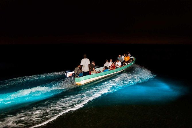 Bioluminescence Tour & Sunset River Cruise - Key Points Worth Knowing Before You Go