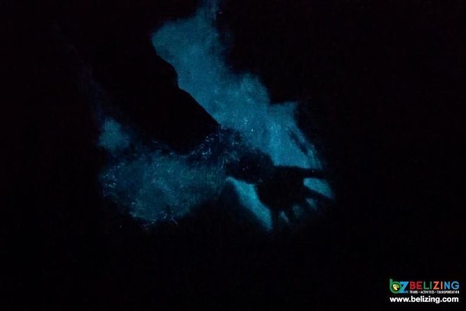 Bioluminescence Tour & Sunset River Cruise - Optional Night Swim: When You Might Want a Towel
