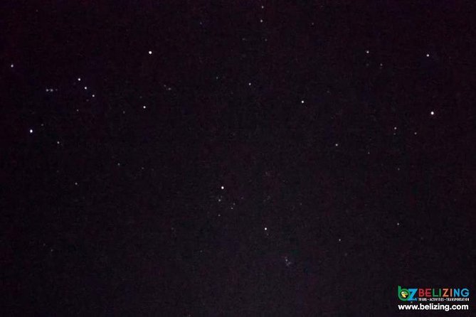 Bioluminescence Tour & Sunset River Cruise - The Tiny Cut Into Giant Mangroves