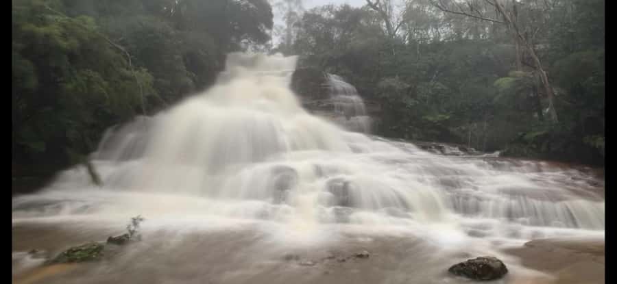 Blue Mountains day tour with Cruise, Scenic world pass & Zoo - Price and logistics: does it feel worth $125?