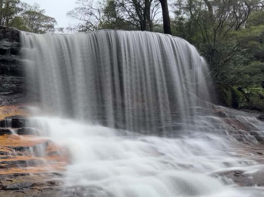 Blue Mountains day tour with Cruise, Scenic world pass & Zoo - Sydney Zoo at the halfway mark: animals plus a smart early start