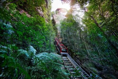 Blue Mountains day tour with Cruise, Scenic world pass & Zoo - Sydney pickup to Blue Mountains: the day starts organized