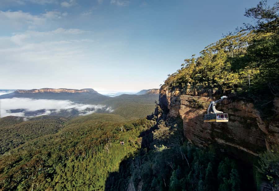 Blue Mountains day tour with Cruise, Scenic world pass & Zoo - First views in the Blue Mountains: Lincoln’s Rock or Evans Lookout