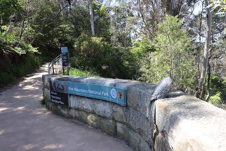Blue Mountains: Private Tour with Wildlife and River Cruise - Scenic World Katoomba: steep train fame plus Skyway panoramas