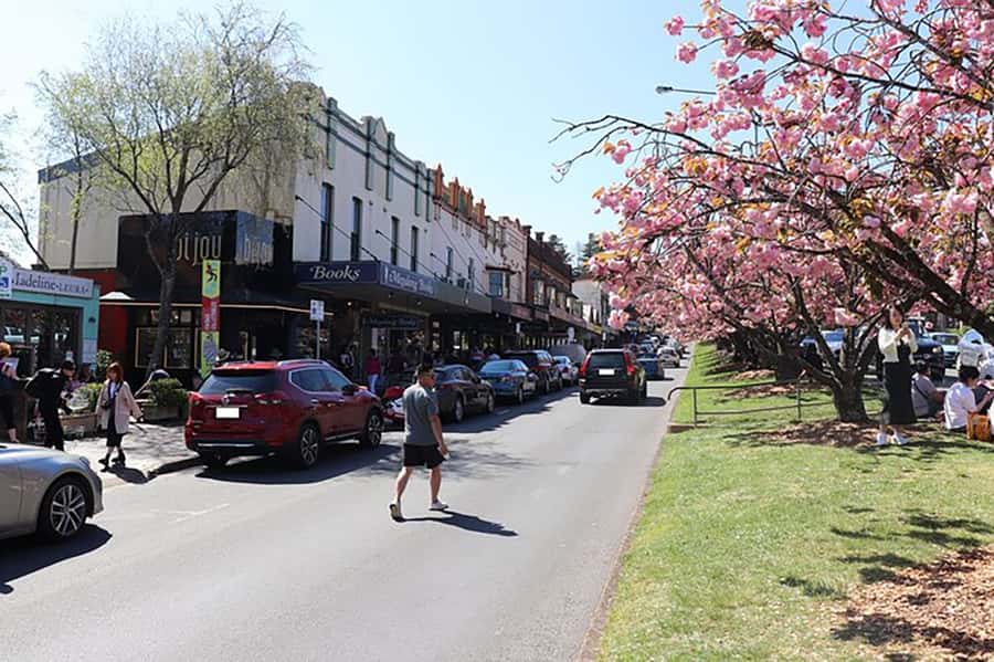 Blue Mountains: Private Tour with Wildlife and River Cruise - Return by ferry to Circular Quay: the city ending you’ll remember
