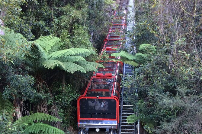 Blue Mountains Tour PRIVATE with Wildlife Park and River Cruise - Leura: a short shop-and-stroll breather