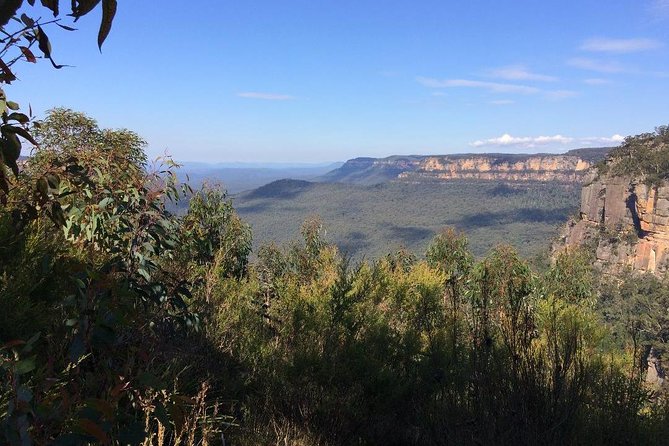 Blue Mountains Tour PRIVATE with Wildlife Park and River Cruise - Scenic World: where the extra ticket can be worth it