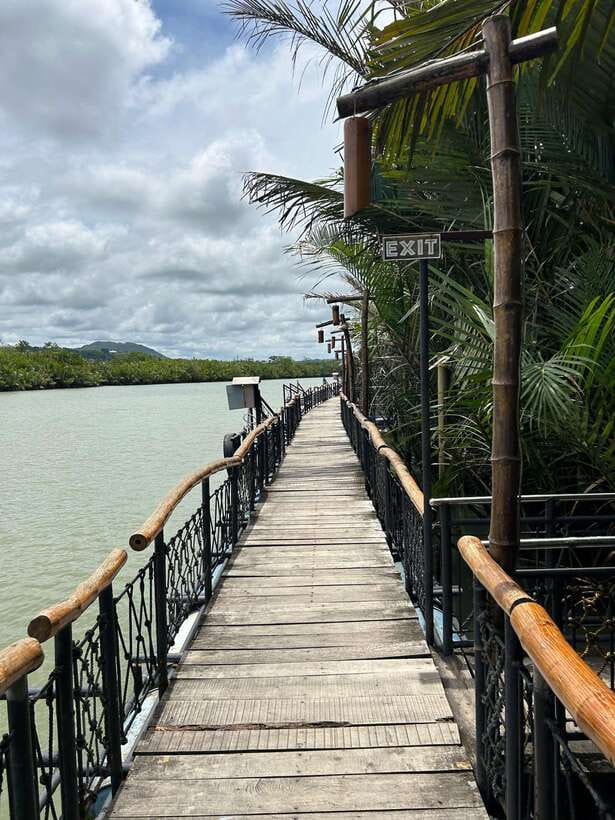 Bohol: Chocolate Hills Tour with Loboc River Cruise & Lunch - A Full Day in Bohol: Chocolate Hills, Tarsiers, and Loboc Lunch