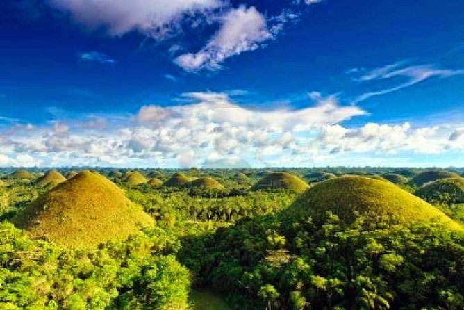 Bohol Countryside Day Tour From Cebu City | Lunch at Loboc River Cruise - Stop 3: Bohol Tarsier Conservation Area (cute, tiny, and timed well)