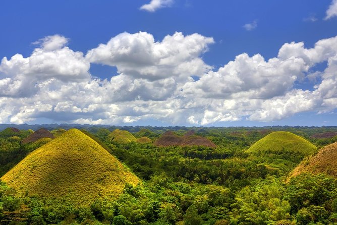 Bohol Countryside Day Tour From Cebu City | Lunch at Loboc River Cruise - Stop 6: Blood Compact Monument (history in a photo-friendly format)