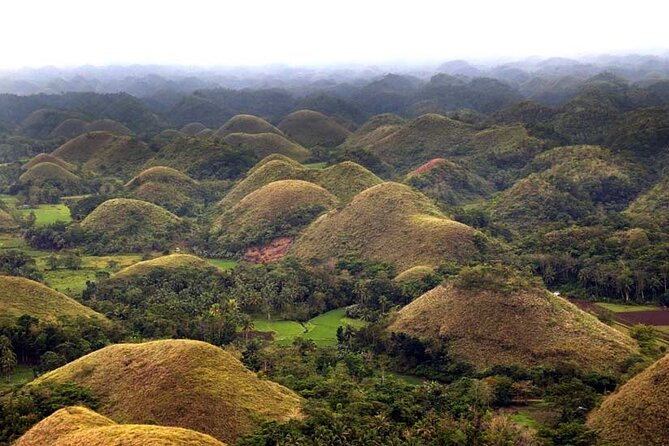 Bohol Highlights Tour: Chocolate Hills, Tarsier Spotting and Loboc River Cruise - A Smart One-Day Mix of Spanish Bohol and Nature