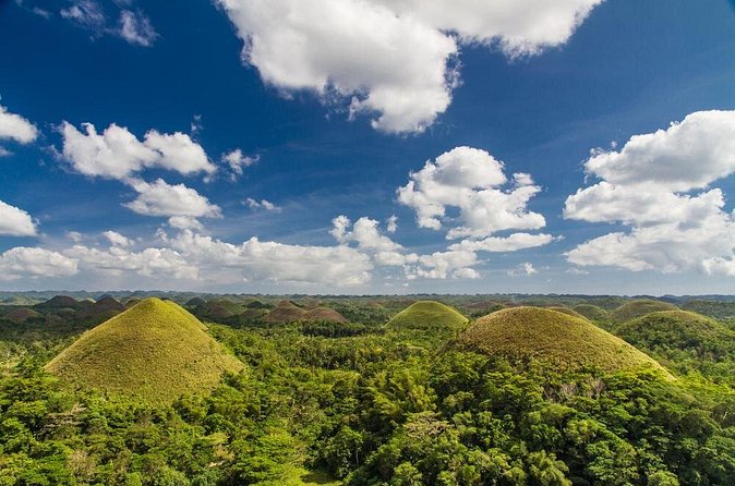 Bohol Highlights Tour: Chocolate Hills, Tarsier Spotting and Loboc River Cruise - Baclayon Church and Museum: 16th-Century Roots With Real Relics