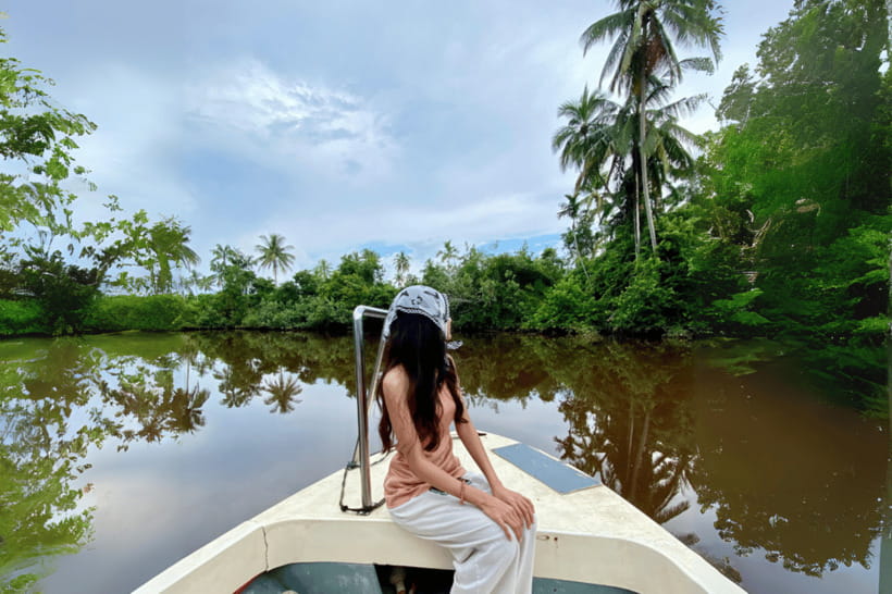 Bongawan River Cruise: Proboscis Monkey & Fireflies Viewing - Firefly Viewing at Night: The Riverbank Light Show