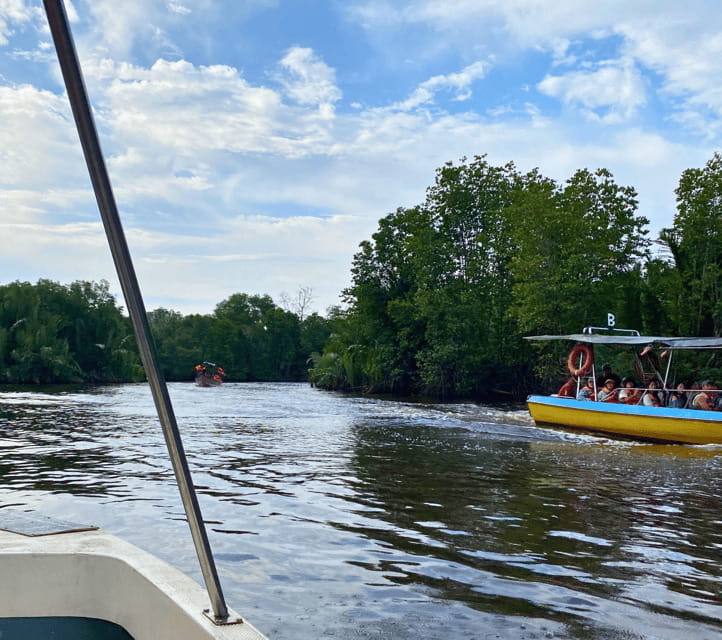 Bongawan River Cruise: Proboscis Monkey & Fireflies Viewing - Who This Tour Suits Best (and Who Might Want Something Different)
